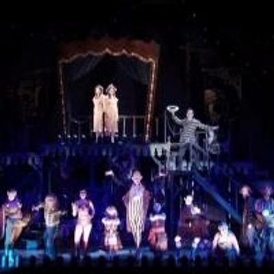 STAGE TUBE: Look at the Freaks! Watch Scenes from SIDE SHOW at the Kennedy Center