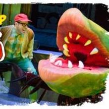 LITTLE SHOP OF HORRORS Closes at ACT Theatre in Just Two Weeks, Now Through 6/15
