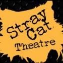 Stray Cat Theatre Presents SONS OF THE PROPHET, Now thru 3/2