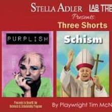 Stella Adler Lab Theatre Company Presents PURPLISH, SCHISM & THE STRAIGHT BOZO, 8/15-