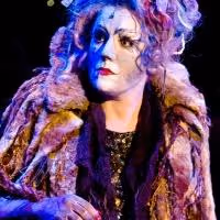 North Shore Music Theatre Presents CATS, Now thru 9/1