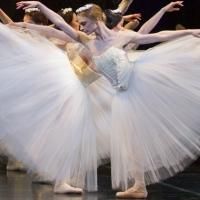 Colorado Ballet Debuts Season with GISELLE, Today