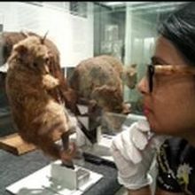 SHE ONLY BARKS AT NIGHT Comes to University of Sydney Today