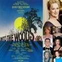 BWW EXCLUSIVE: Starry INTO THE WOODS Reading Cast Revealed; Meryl Streep Expected to Join Film!
