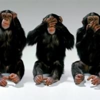 Storytelling Game Show THE SHAME GAME to Be Performed at NYC's This Theater on 7/20