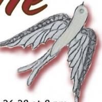 William Razavi's JULIE to Play Performing Arts San Antonio, 6/13-28