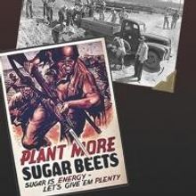 Rick Padden's BEETS Begins Tomorrow at The Aurora Fox