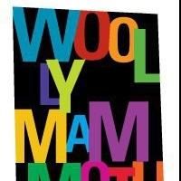 Meghan Pressman Named New Managing Director of Woolly Mammoth Theatre Company