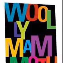 Meghan Pressman Named New Managing Director of Woolly Mammoth Theatre Company
