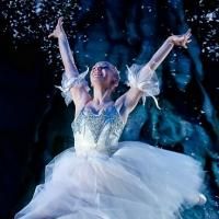 Regional Dance Company of the Week: Salt Creek Ballet, IL