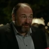 VIDEO: First Look - Trailer for James Gandolfini's ENOUGH SAID