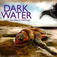 MTWorks Gives Voice to Wildlife Victims of Gulf Oil Spill in DARK WATER