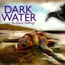 MTWorks Gives Voice to Wildlife Victims of Gulf Oil Spill in DARK WATER