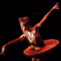 Catherine Zehr to Chat BALLETS WITH A TWIST at The Museum at FIT Tonight