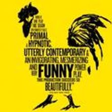 THE COCKFIGHT PLAY Enters Final Six Performances