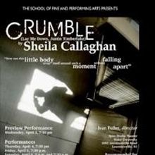 Rider U. Presents Sheila Callaghan's CRUMBLE: LAY ME DOWN, JUSTIN TIMBERLAKE Thru…