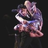 FOREVER TANGO Ends Limited Broadway Run Today