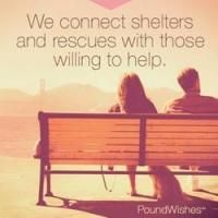 Aww-Inspiring: PoundWishes.com Helps Raise Funds for Shelters and Rescues and for…