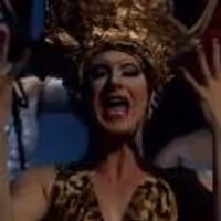 STAGE TUBE: First Look at Brazil's PRISCILLA, A RAINHA DO DESERTO - Highlights! Video