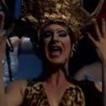 STAGE TUBE: First Look at Brazil's PRISCILLA, A RAINHA DO DESERTO - Highlights!