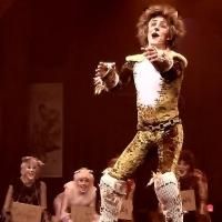 Beef and Boards Dinner Theatre Presents CATS, Now thru 3/30