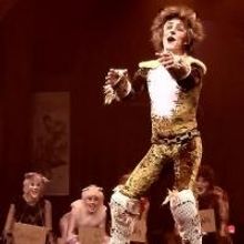 Beef and Boards Dinner Theatre Presents CATS, Now thru 3/30