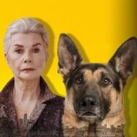 NEIGHBOURHOOD WATCH Opens 20 March at Southbank Theatre
