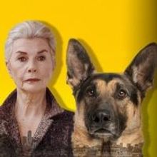 NEIGHBOURHOOD WATCH Opens 20 March at Southbank Theatre