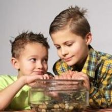 DM Playhouse Adds TALES OF A FOURTH GRADE NOTHING Performances