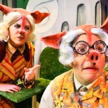 Big Bad Wolf Faces Pig Court in THE TRUE STORY OF THE 3 LITTLE PIGS! Through 2/16
