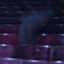 Holly Boyd Wins GHOST STORIES 'Scariest Job in London' Contest