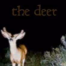 Ruckus Theater to Stage THE DEER, 4/11-5/11