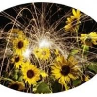 EXOTHERMIC REACTIONS Exhibition at David Anthony Fine Art, Taos, New Mexico…