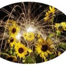 EXOTHERMIC REACTIONS Exhibition at David Anthony Fine Art, Taos, New Mexico…