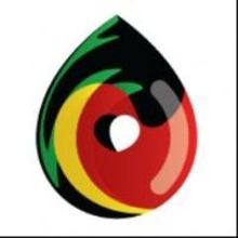 One-Woman Multimedia Show ONE DROP OF LOVE Comes to The Fox Theatre, 9/21