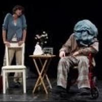 The Tank Presents CLOSE TO DECLINE World Premiere, Now thru 4/13