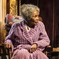 BWW REVIEW: Cicely Tyson Makes a Joyful Noise in THE TRIP TO BOUNTIFUL Photo