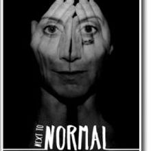 BWW Reviews: Southern Rep Presents NEXT TO NORMAL