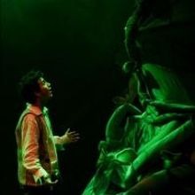 JACK Y LAS SEMILLAS MAGICAS Set for Teatro El Cubo Through July 28