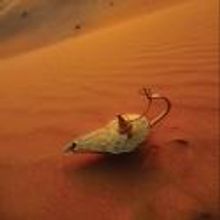 Houston Symphony Plays Arabian-Inspired Family Concert Today