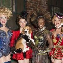Photo Coverage: Westminster Best in Show Winner Miss P. Makes Broadway Debut in…