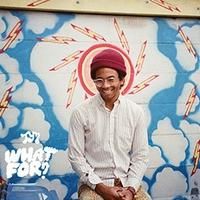 Toro Y Moi Set Releases New Album 'What For?' via Carpark Records