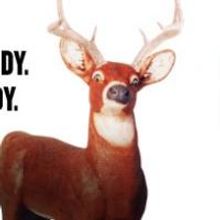 Cygnet Theatre Presents SONS OF THE PROPHET, Now thru 2/15