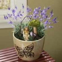 Porter's Craft and Frame Helps Crafting Guru's Create Indoor Fairy Gardens