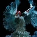 Ballet Flamenco de Andalucía Set for Flamenco Festival Miami 2013, Now thru 3/17