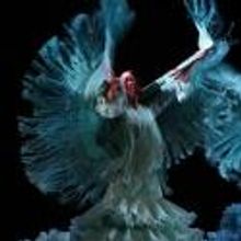 Ballet Flamenco de Andalucía Set for Flamenco Festival Miami 2013, Now thru 3/17