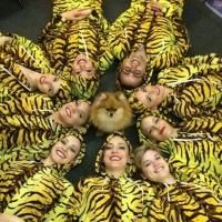 Photo Flash: Saturday Intermission Pics, July 5- BULLETS, CINDERELLA, NEWSIES and…