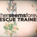 VIDEO: Further Seems Forever Debuts 'Rescue Trained' Lyric Video