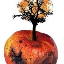 Envelope Ensemble Presents ELECTRA, Now thru 9/22