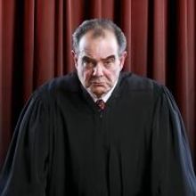 Edward Gero Stars in Arena Stage's THE ORIGINALIST, Beginning Tonight